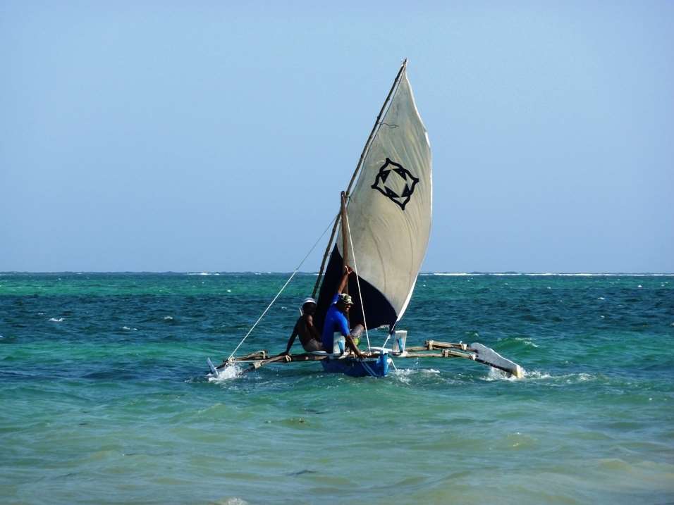 Lantana Galu Beach Diani Beach Nature photo